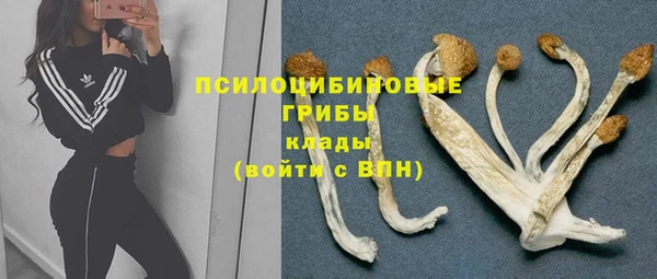 крисы Михайлов