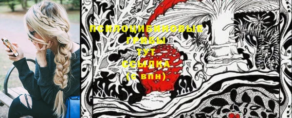 крисы Михайлов