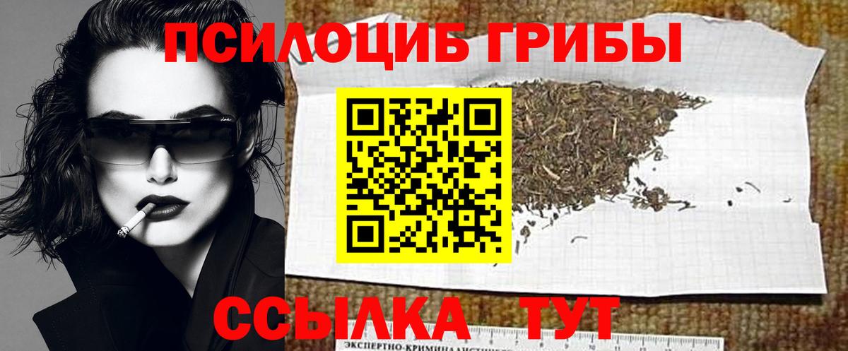 Псилоцибиновые грибы мицелий  Псилоцибиновые грибы Psilocybe  Вход с VPN  Свободный 